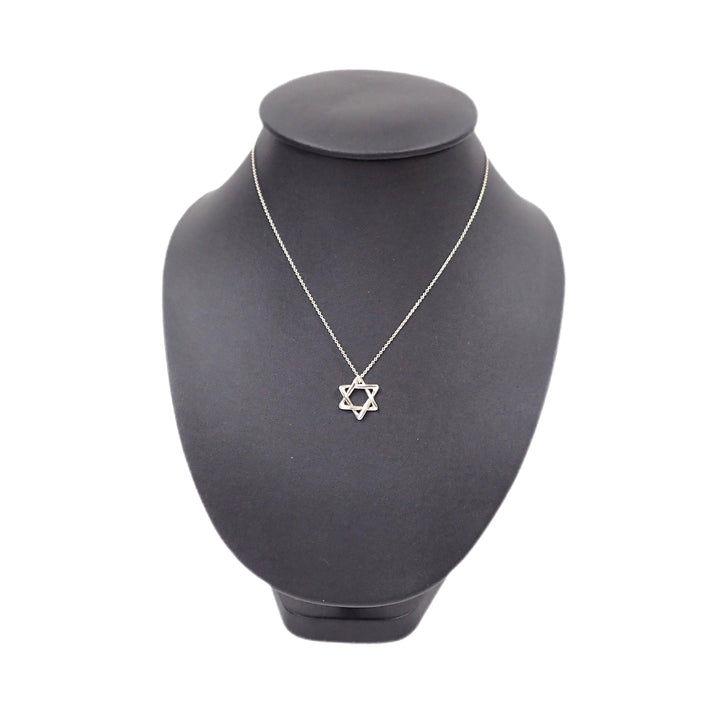 Tiffany & Co. Tiffany Star of Davi David Necklace P27806V